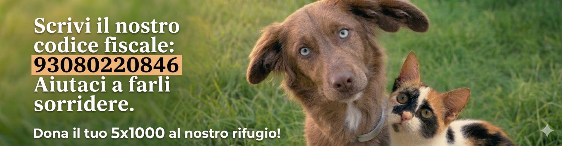 Gemini_Generated_Image_283tsx283tsx283t